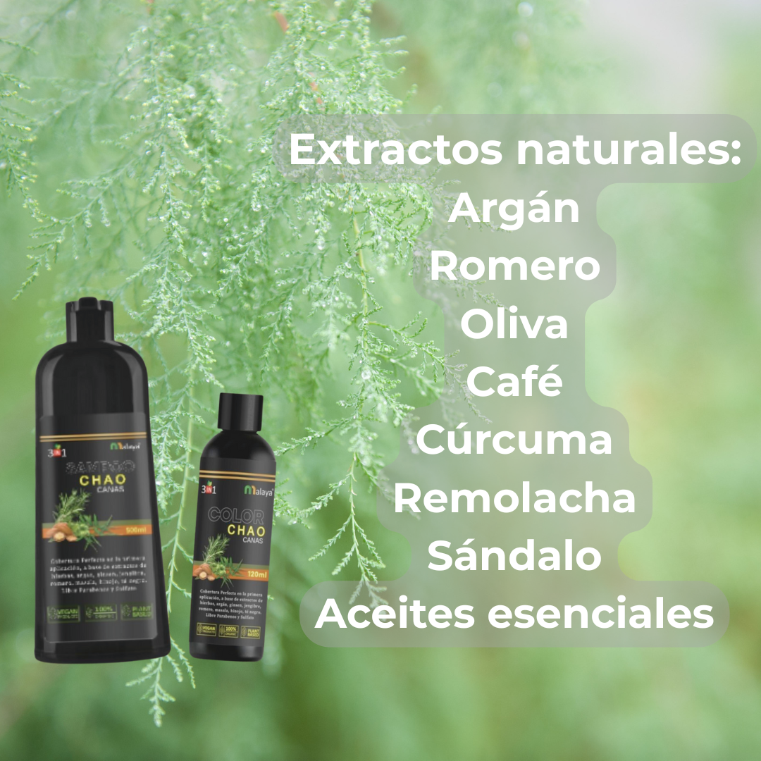 Shampoo Chao Canas +  tratamiento + Obsequio Capilar